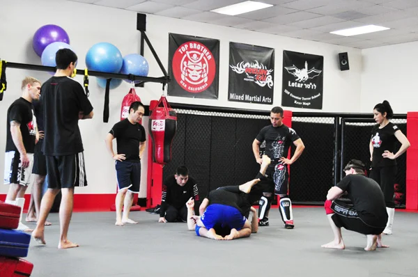 Adult MMA program