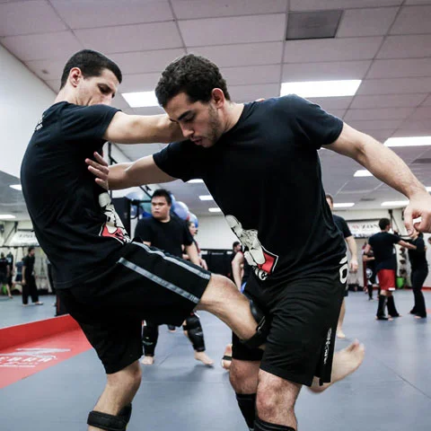 kravmaga-img-04