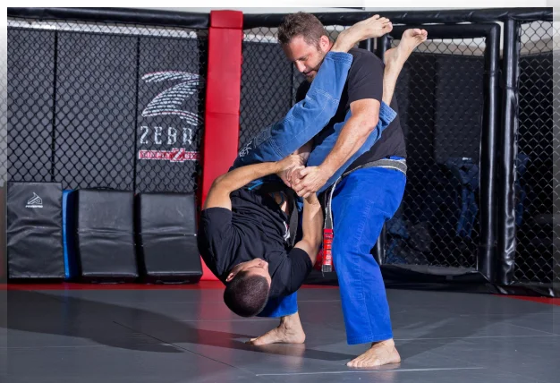 BRAZILIAN JIU JITSU